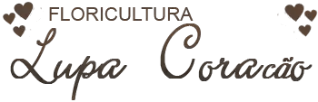Lupa Coração